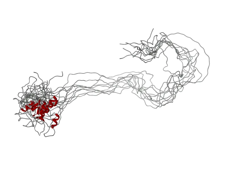 Structural ensemble of the intrinsically disordered protein amelogenin