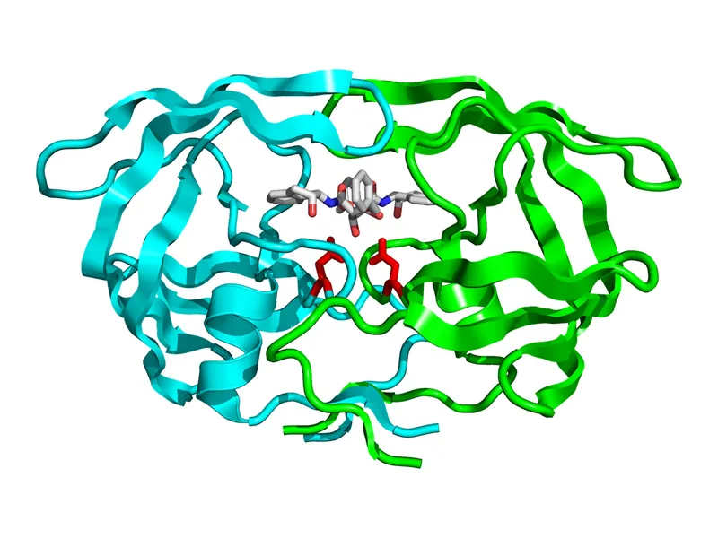 HIV protease bound to an inhibitor