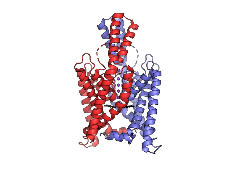 Structure of a two-pore domain potassium channel